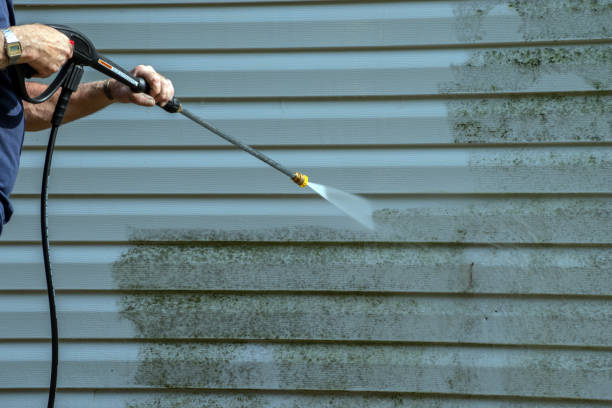 Best Affordable Pressure Washing  in Elmira Heights, NY