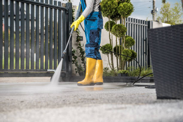 Best Deck Cleaning Services  in Elmira Heights, NY