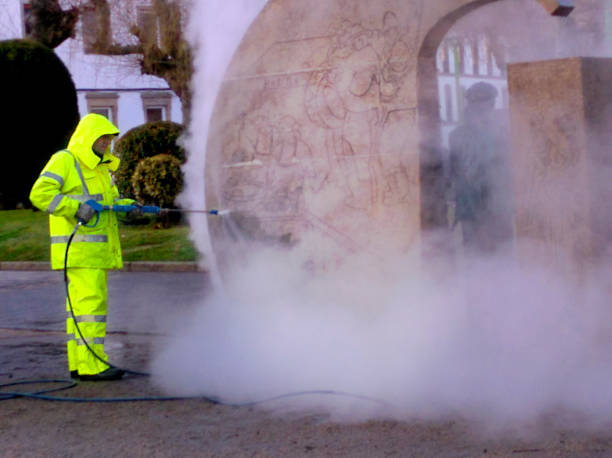 Best Residential Pressure Washing Services  in Elmira Heights, NY