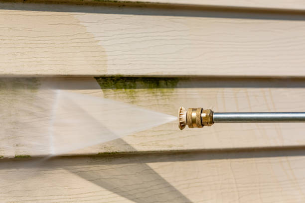 Best House Pressure Washing  in Elmira Heights, NY