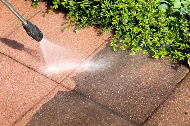 Best Commercial Building Pressure Washing  in Elmira Heights, NY